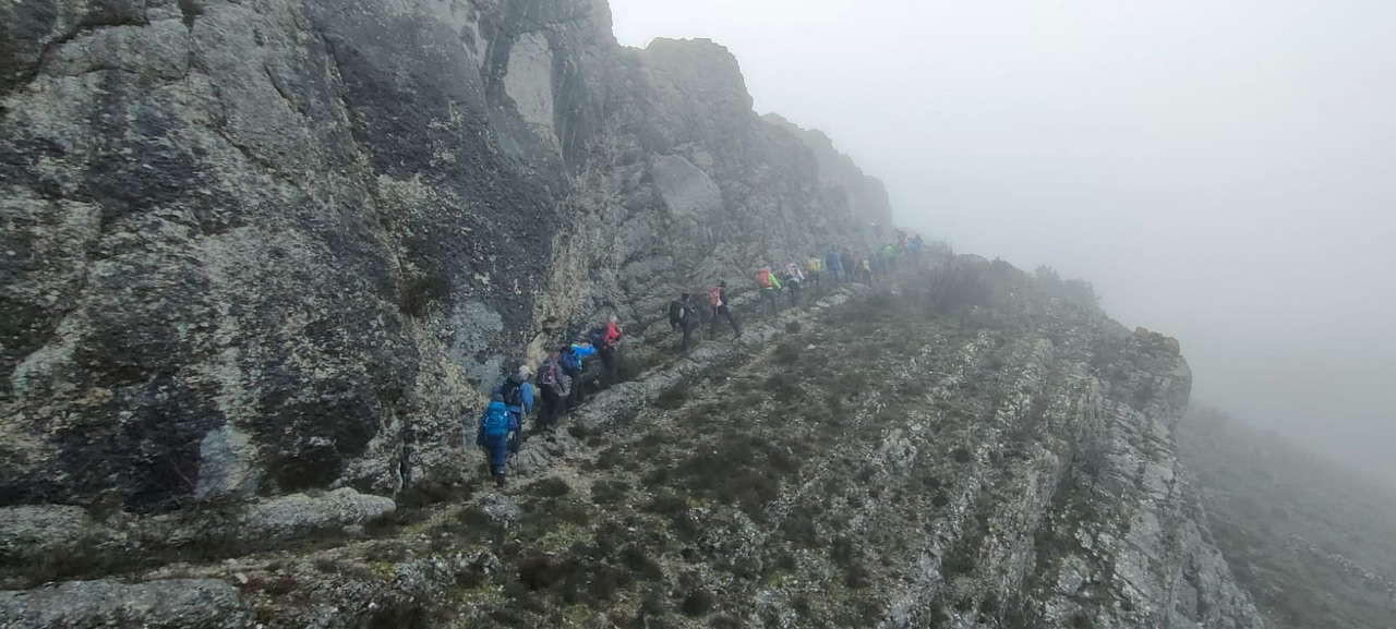 WhatsApp Image 2026-02-10 at 14.47.43 (5)